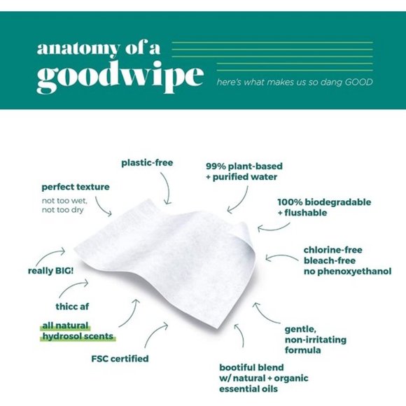 NIB 4 BOXES OF 16 WIPES EACH "DOWN THERE WIPES" BY GOODWIPES - Picture 13 of 13